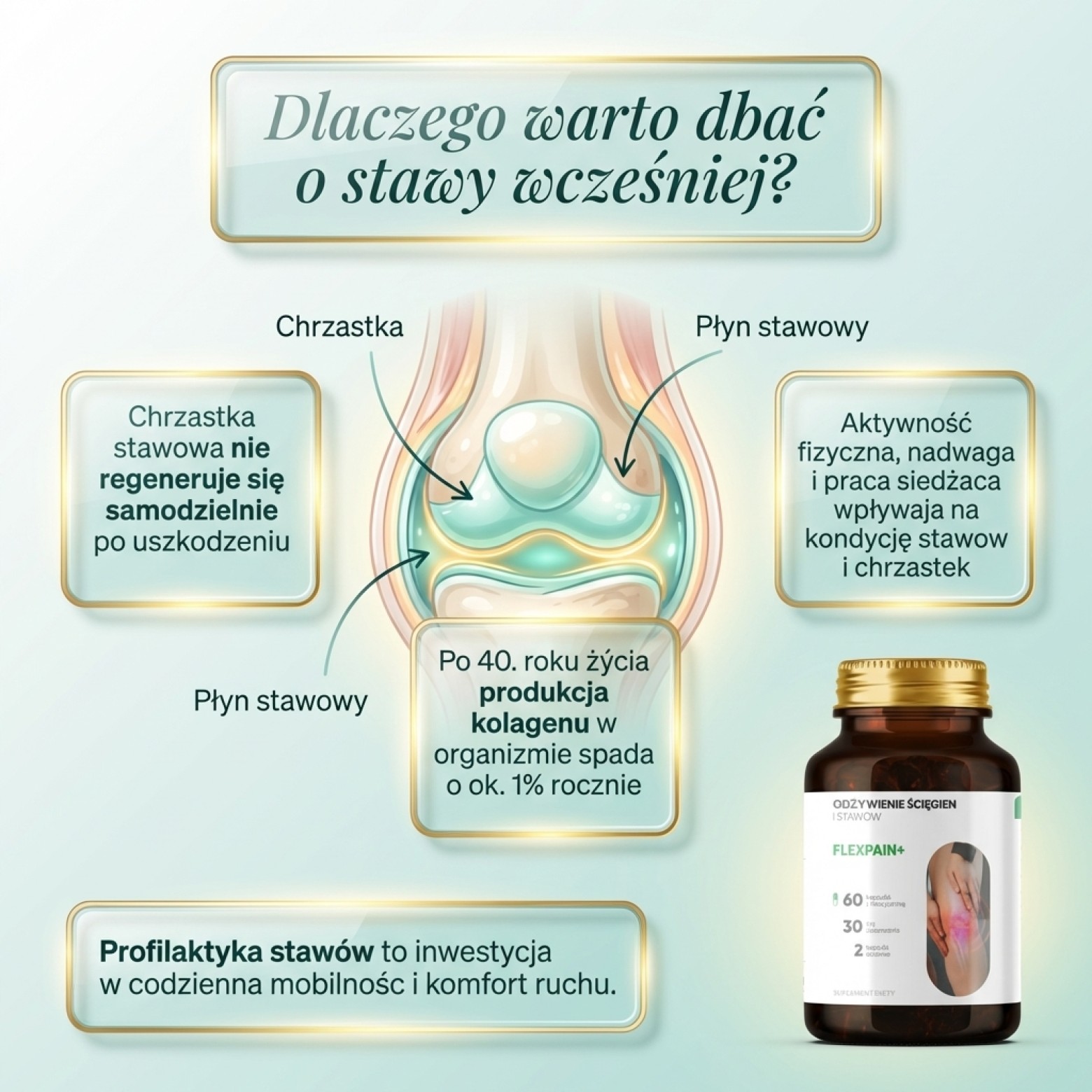 Flexpain+ - Wierzba biała + Kadzidłowiec + Mangostan na zdrowe stawy