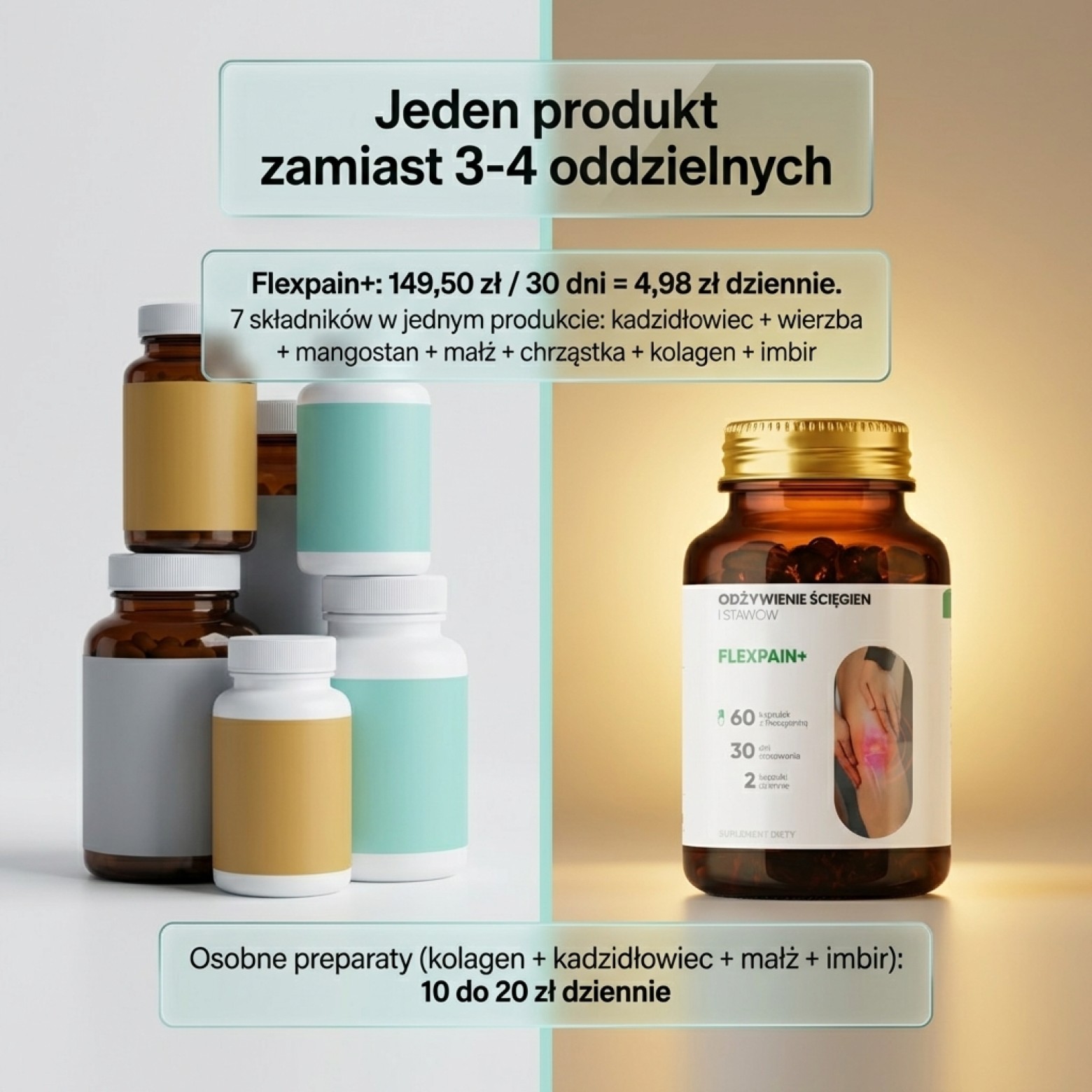 Flexpain+ - Wierzba biała + Kadzidłowiec + Mangostan na zdrowe stawy