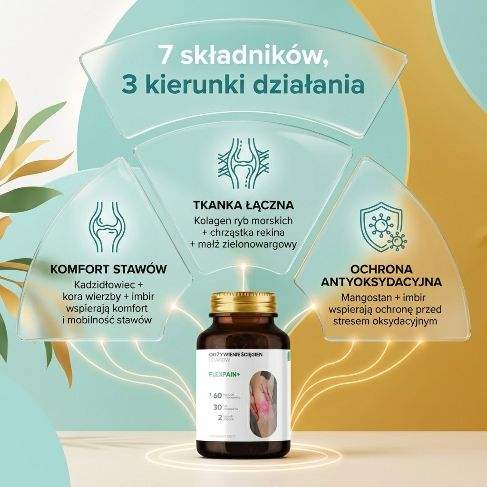 Flexpain+ - Wierzba biała + Kadzidłowiec + Mangostan na zdrowe stawy