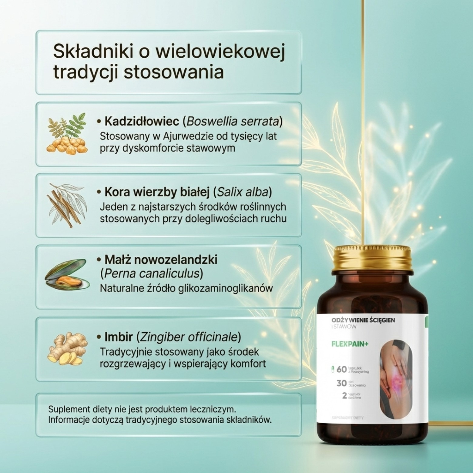 Flexpain+ - Wierzba biała + Kadzidłowiec + Mangostan na zdrowe stawy