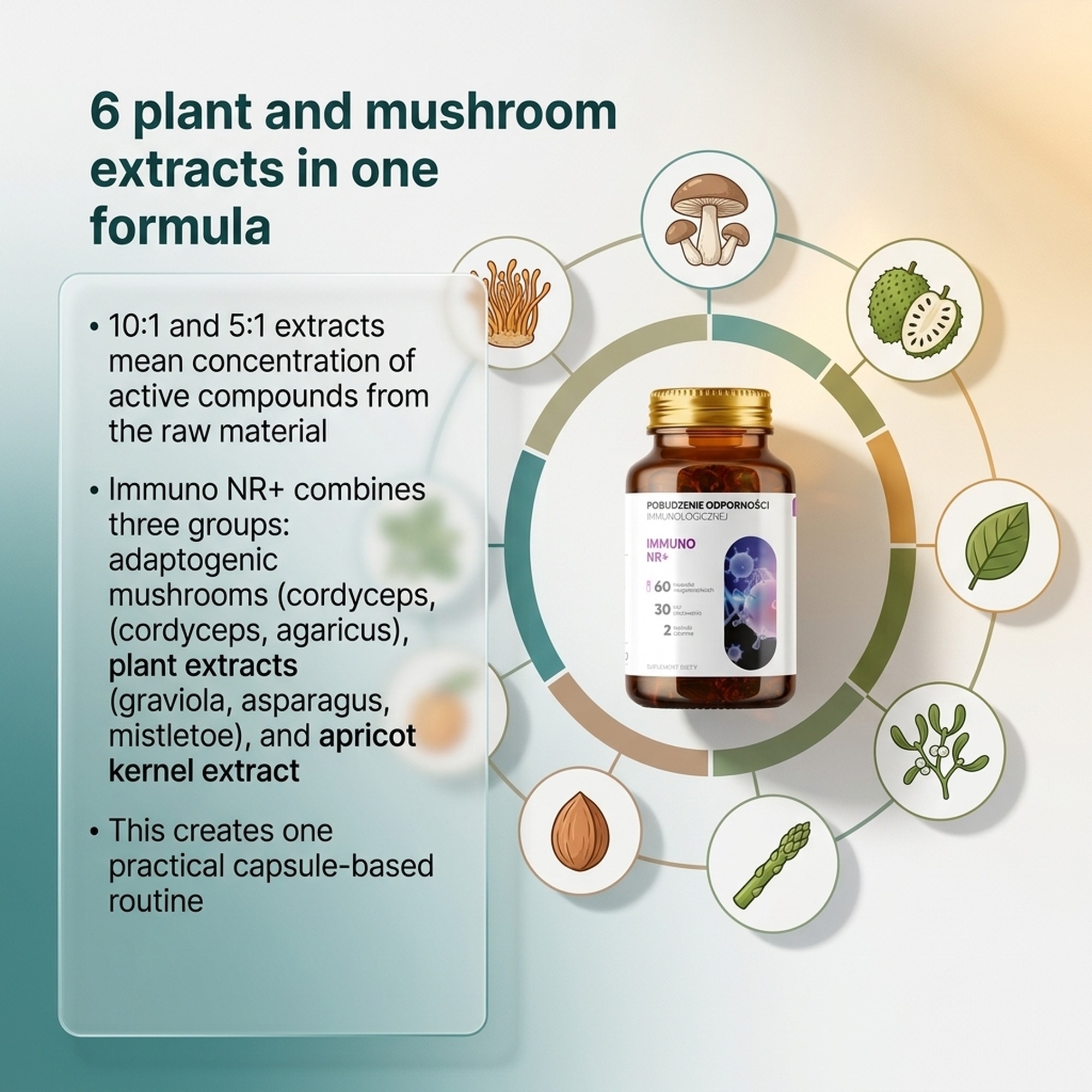 Immuno NR+ - Graviola + Apricot + Agaricus for Immune Support