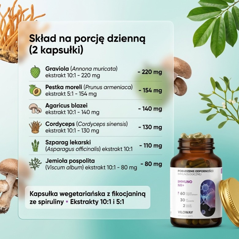 Skład - porcja dzienna