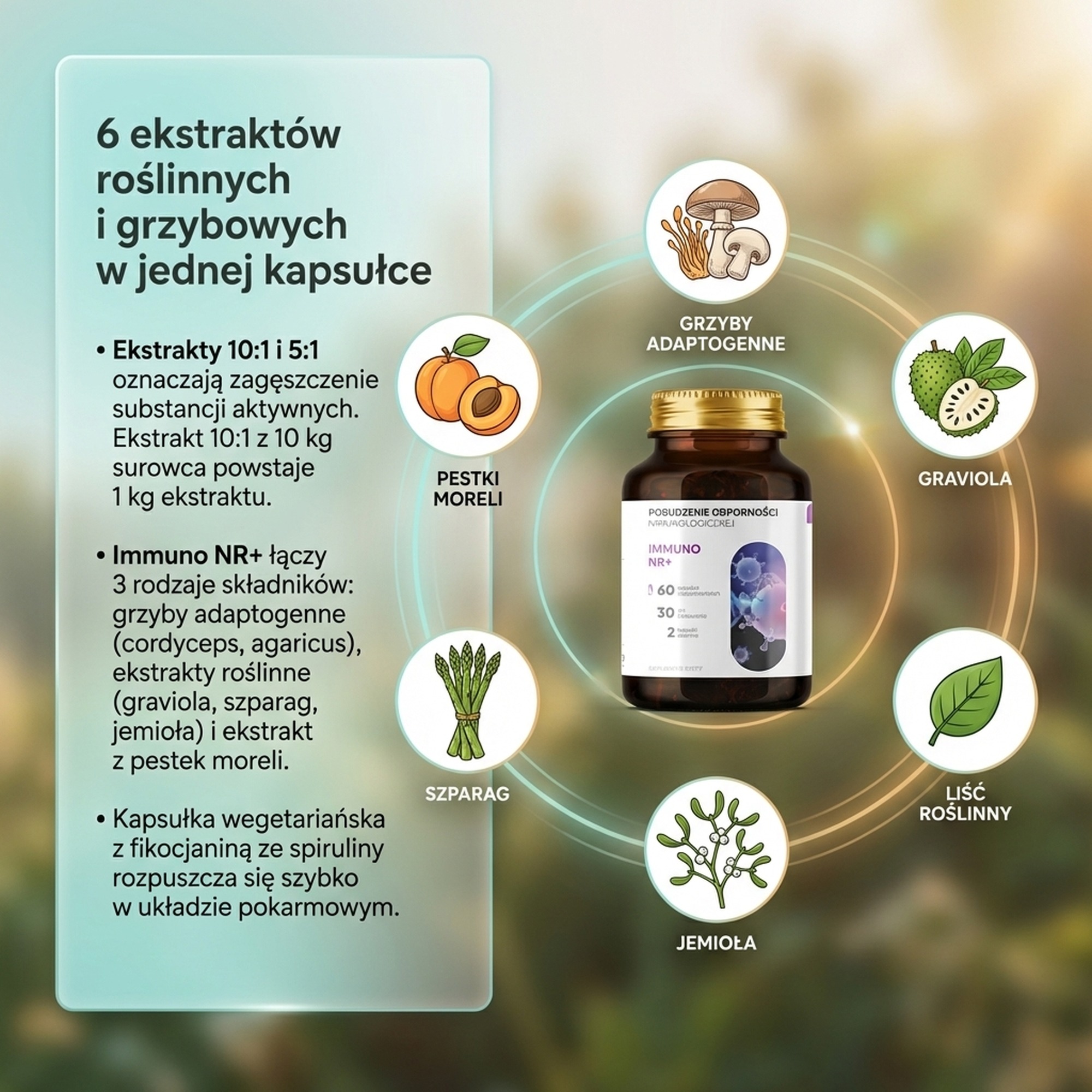 Immuno NR+ - Graviola + Morela + Agaricus na wsparcie odporności