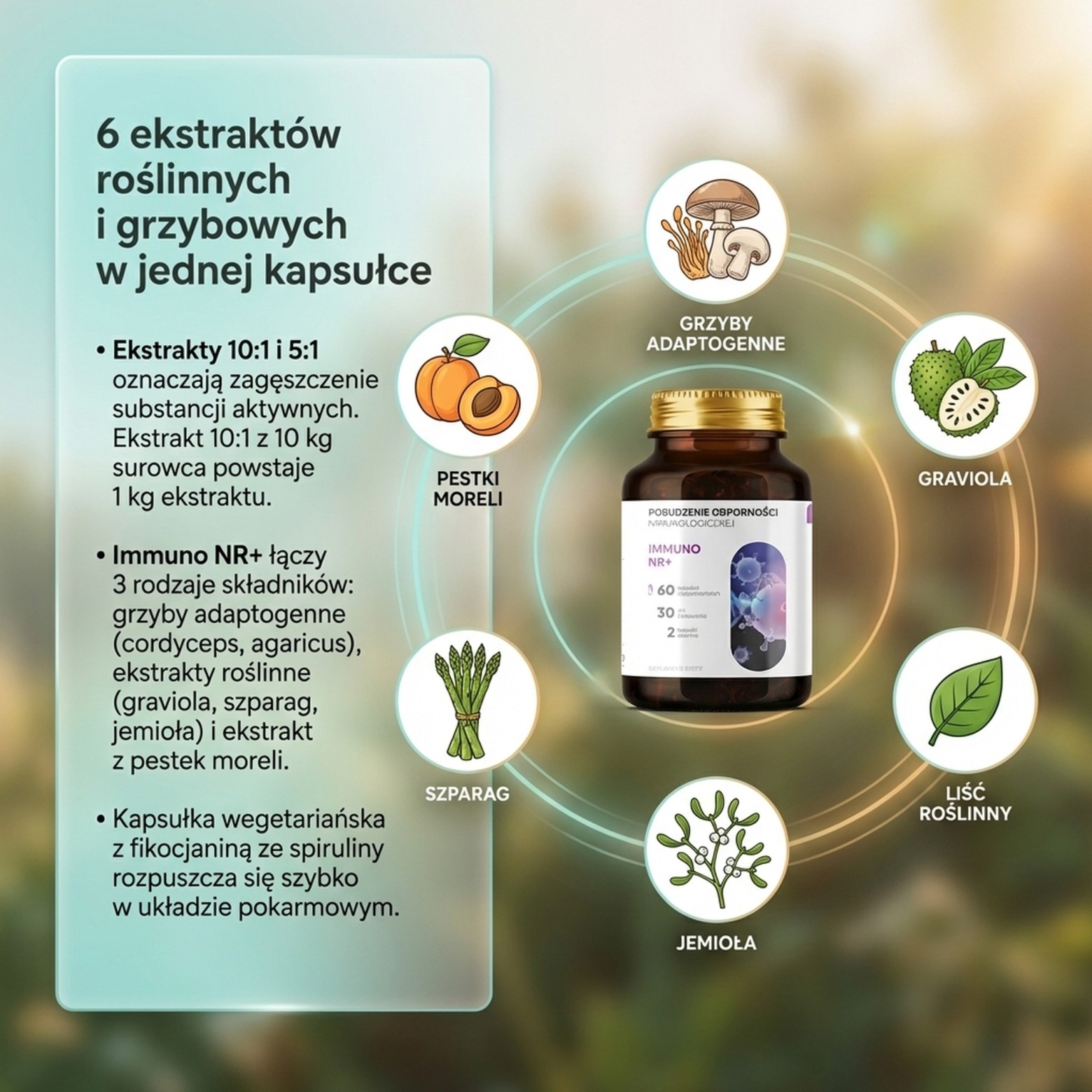 Immuno NR+ - Graviola + Morela + Agaricus na wsparcie odporności