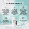 Collagen Liposome+ – Maximum bioavailability for the skin, joints and connective tissue