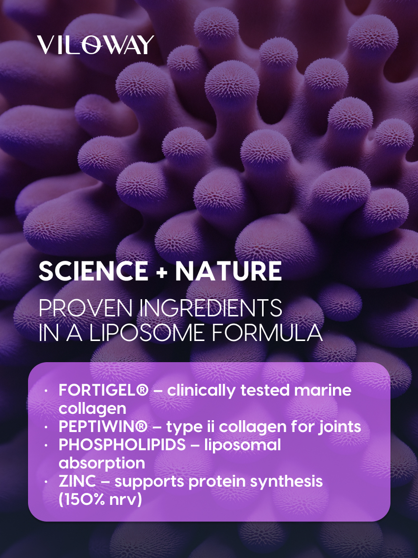 Who is Liposomal Collagen+ with Blueberry Flavor + stirrer for?
