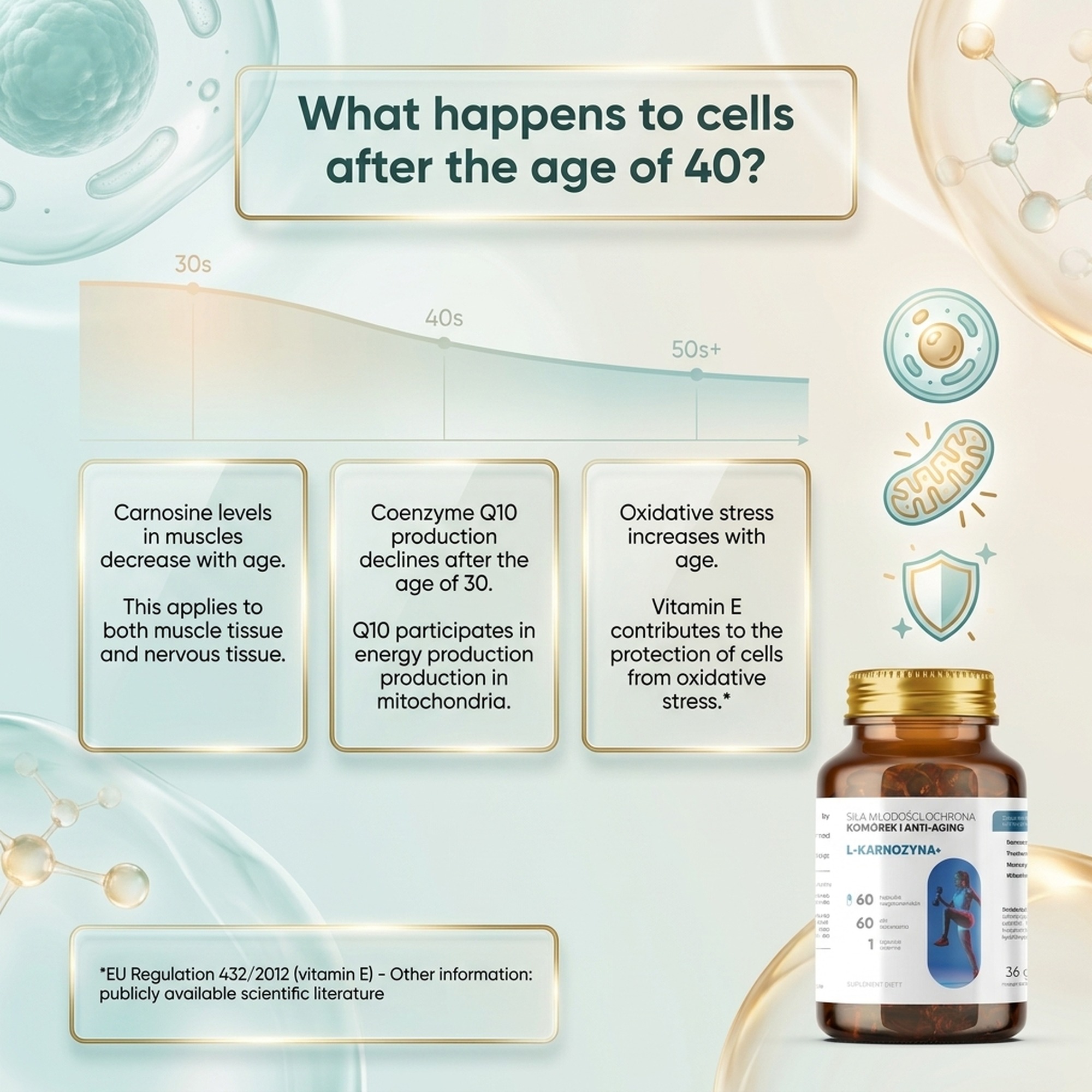 L-Carnosine+ - Carnosine 400 mg + Fisetin + CoQ10 for Smart Aging