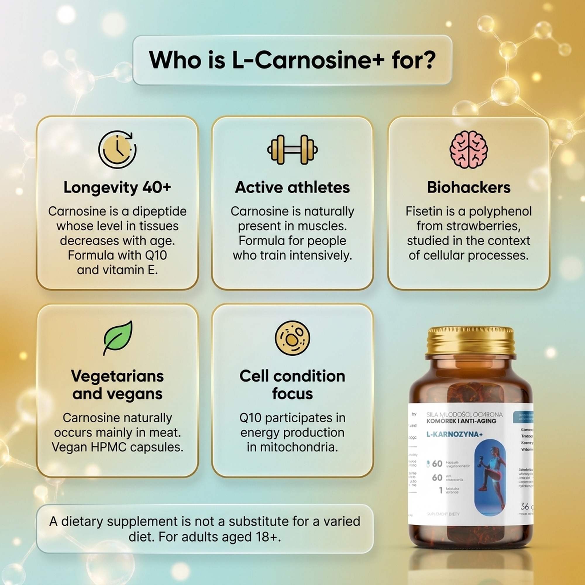 L-Carnosine+ - Carnosine 400 mg + Fisetin + CoQ10 for Smart Aging