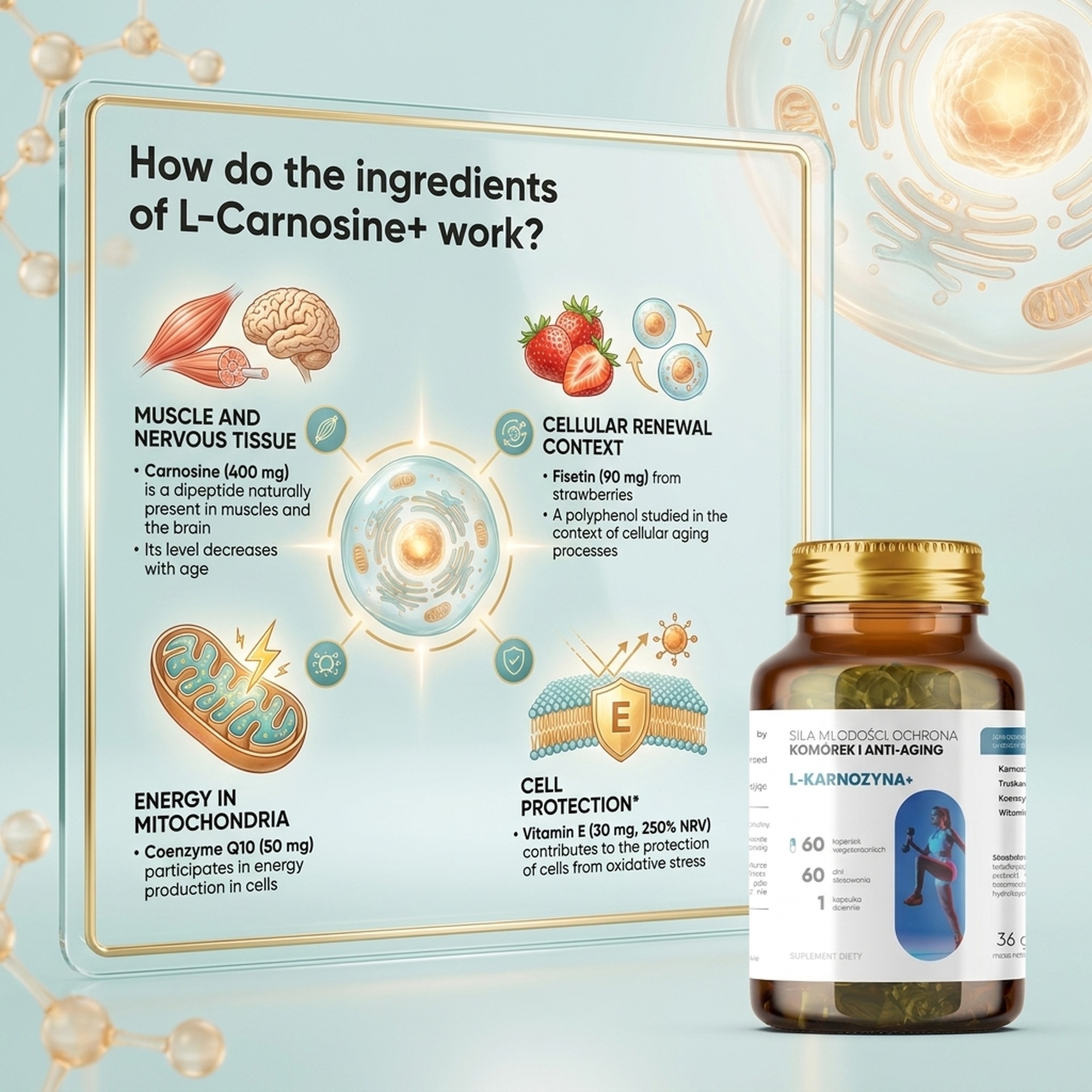 L-Carnosine+ - Carnosine 400 mg + Fisetin + CoQ10 for Smart Aging