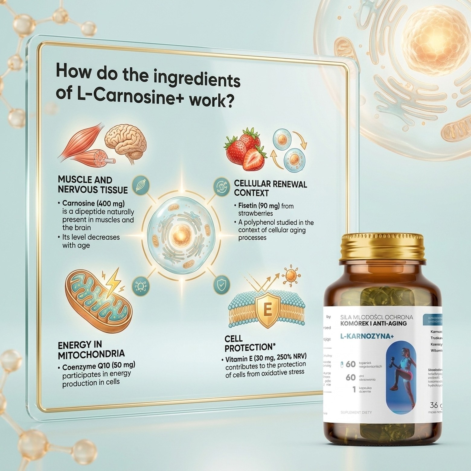 L-Carnosine+ - Carnosine 400 mg + Fisetin + CoQ10 for Smart Aging