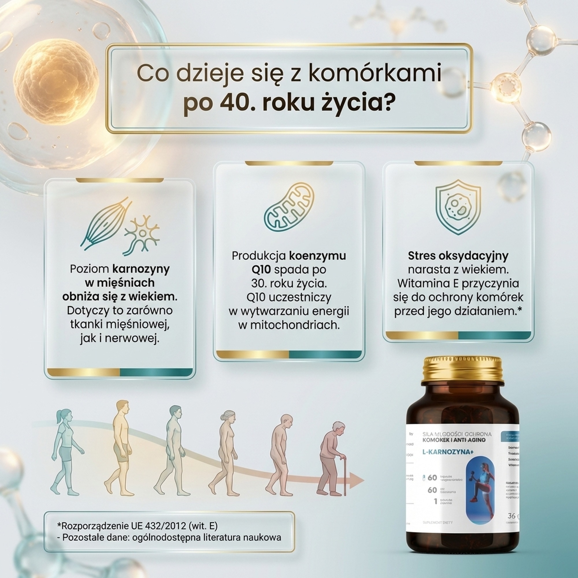 L-Karnozyna+ - Karnozyna 400mg + Fisetyna + Koenzym Q10 na anty-aging