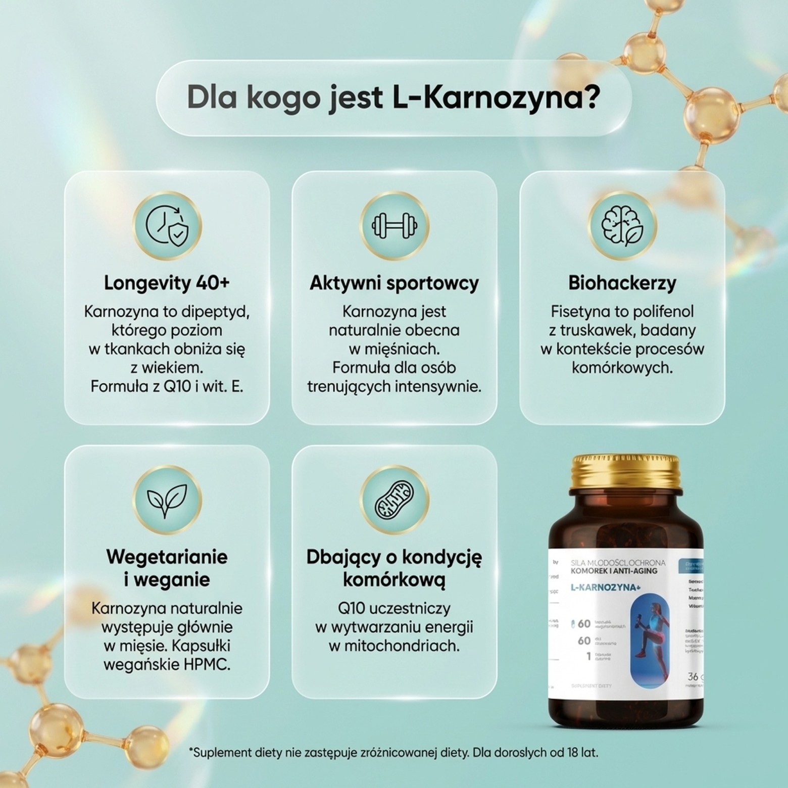 L-Karnozyna+ - Karnozyna 400mg + Fisetyna + Koenzym Q10 na anty-aging