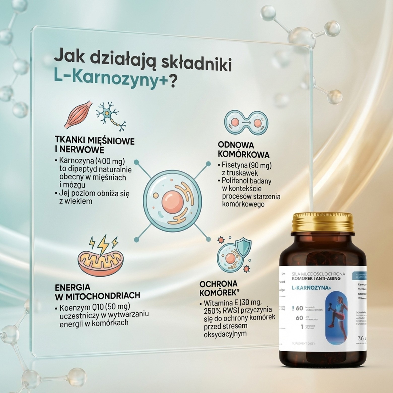 L-Karnozyna+ - Karnozyna 400mg + Fisetyna + Koenzym Q10 na anty-aging