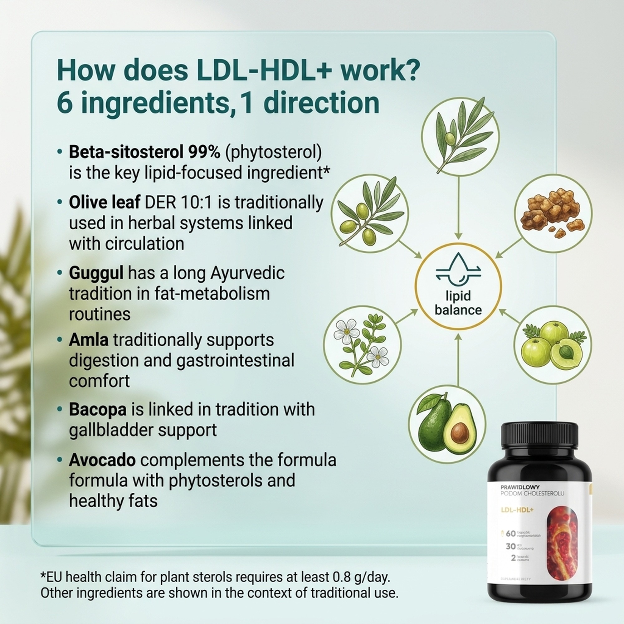 LDL-HDL+ - Olive Leaf + Guggul + Amla for a Daily Cholesterol Routine