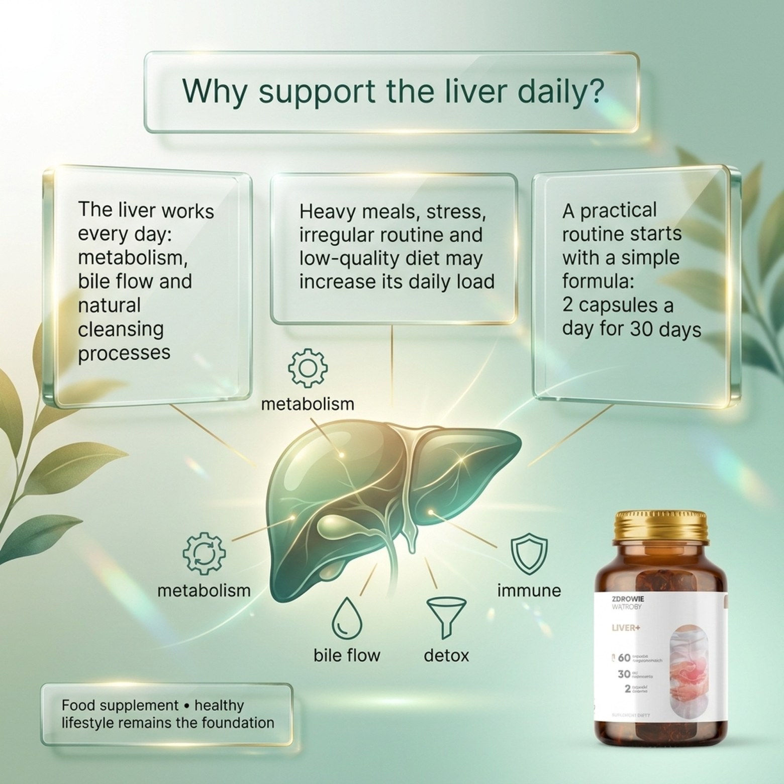 Liver+ - Dandelion + Kutki + Burdock for Liver Support