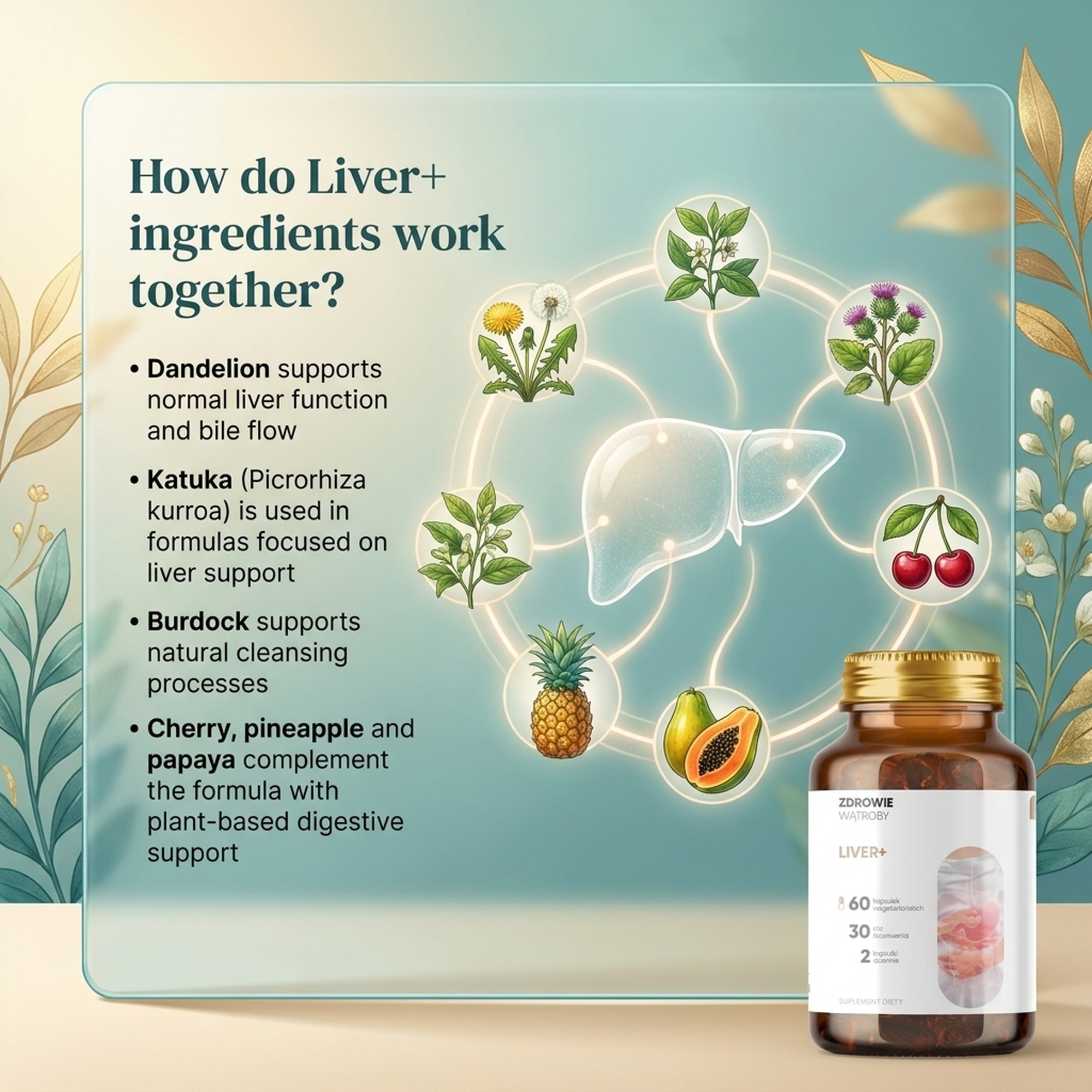 Liver+ - Dandelion + Kutki + Burdock for Liver Support