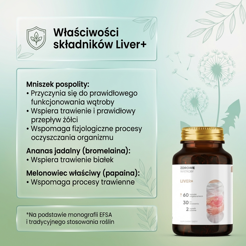 Liver+ - Mniszek + Katuka + Łopian na wsparcie wątroby