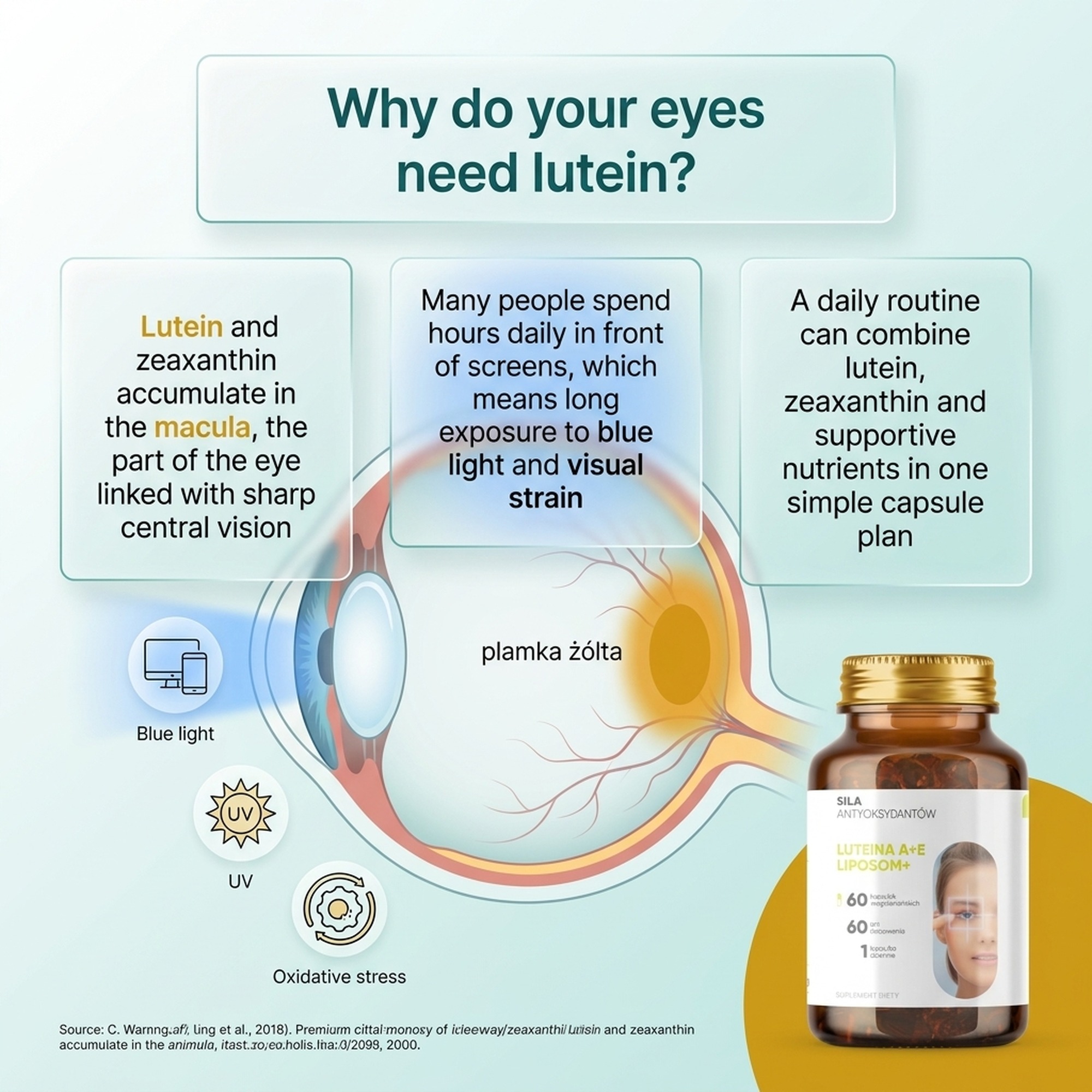 Luteina A + E Liposom+ - Lutein + Zeaxanthin + Vitamin E for Eye Support