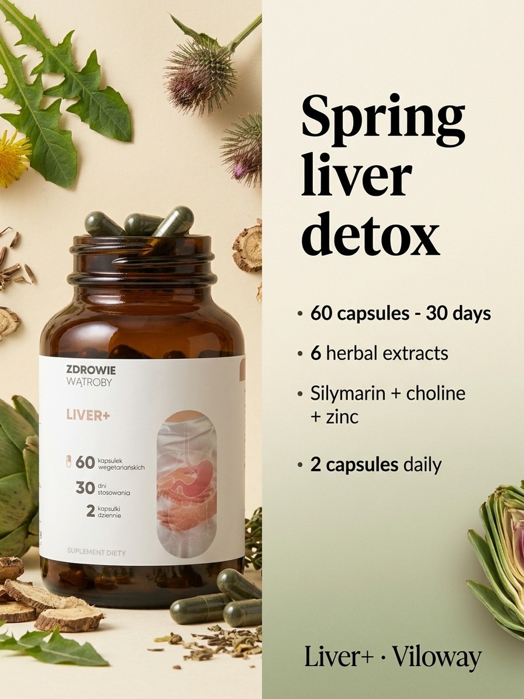 Who is Liver+ for?