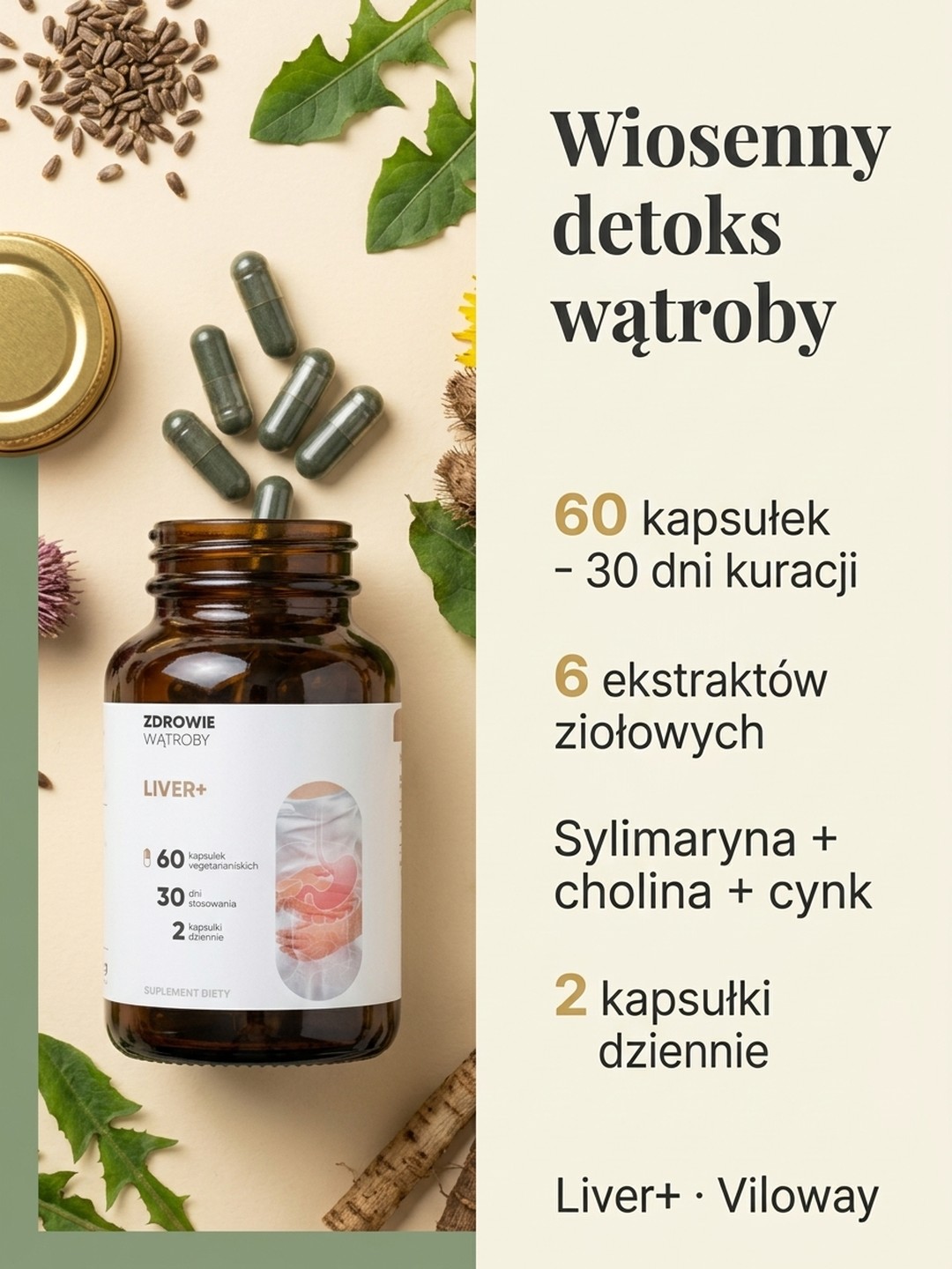 Dla kogo jest Liver+