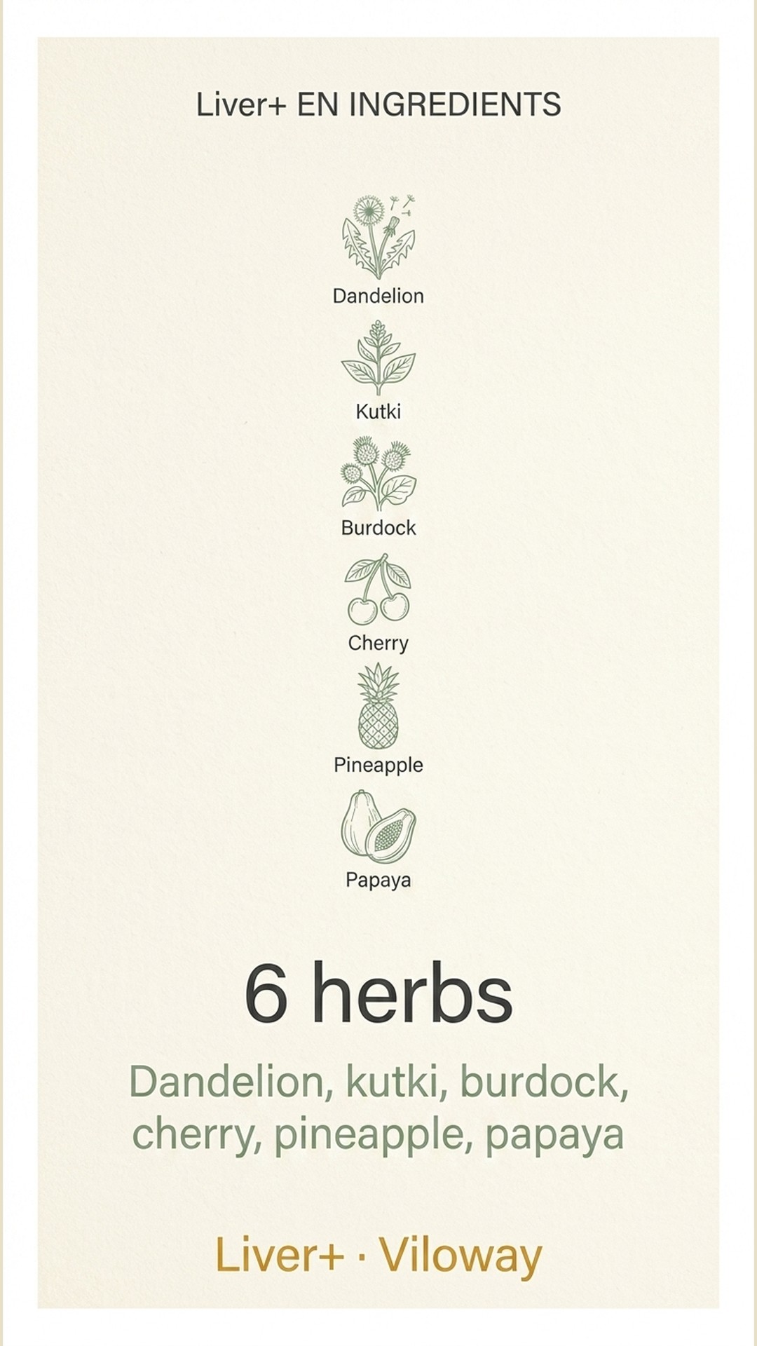 Who is Liver+ for?