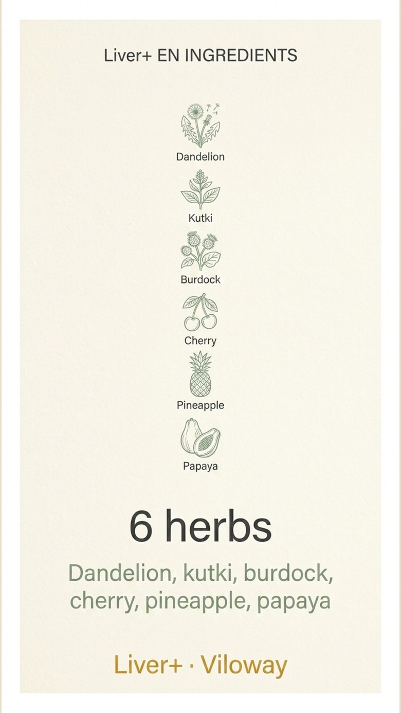 Liver+ - Dandelion + Kutki + Burdock for Liver Support