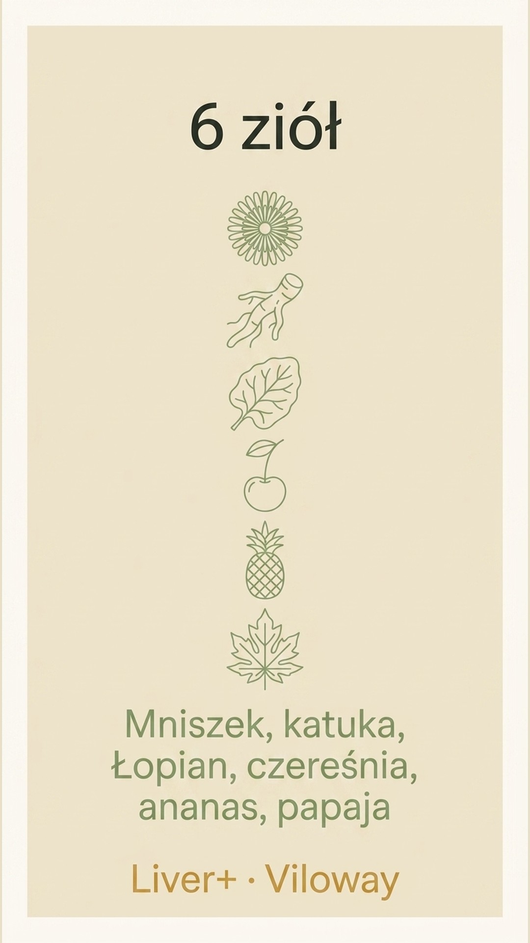 Dla kogo jest Liver+