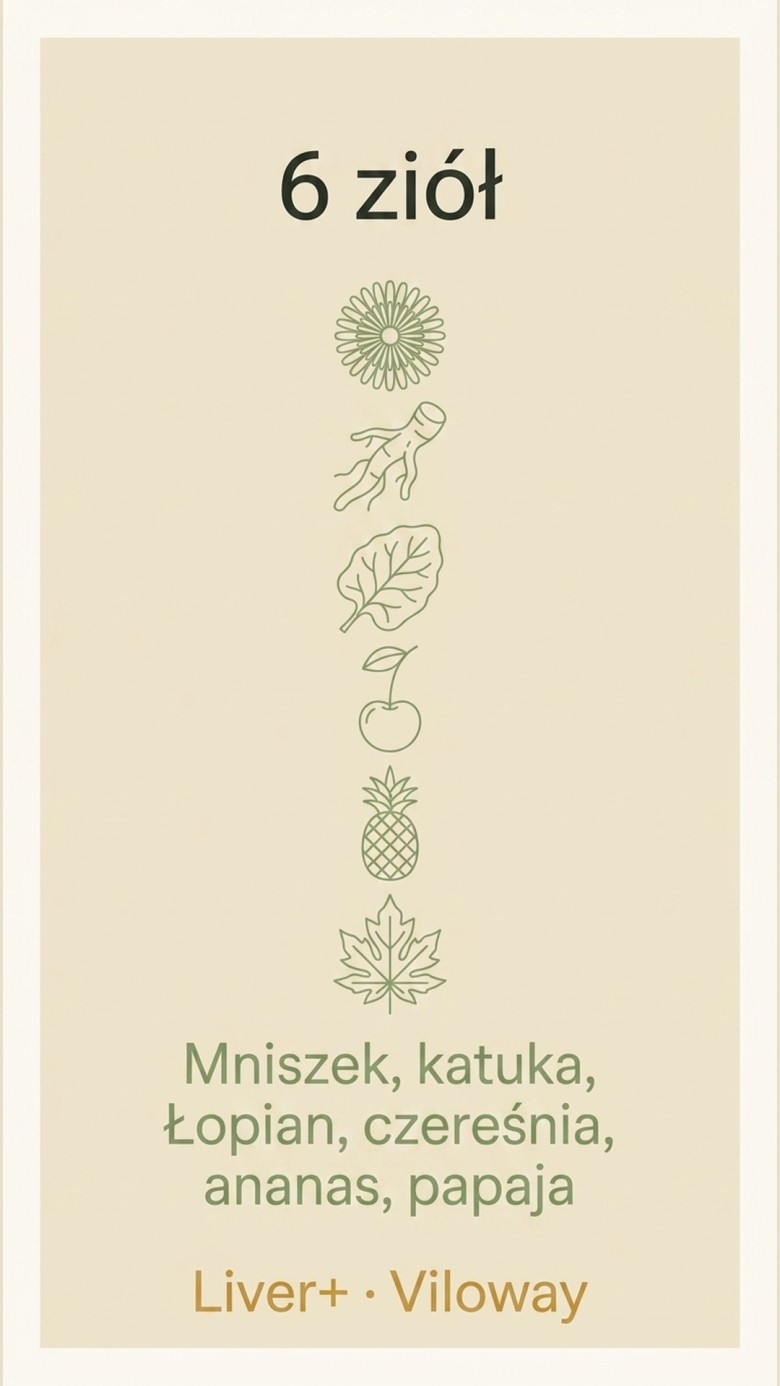 Liver+ - Mniszek + Katuka + Łopian na wsparcie wątroby