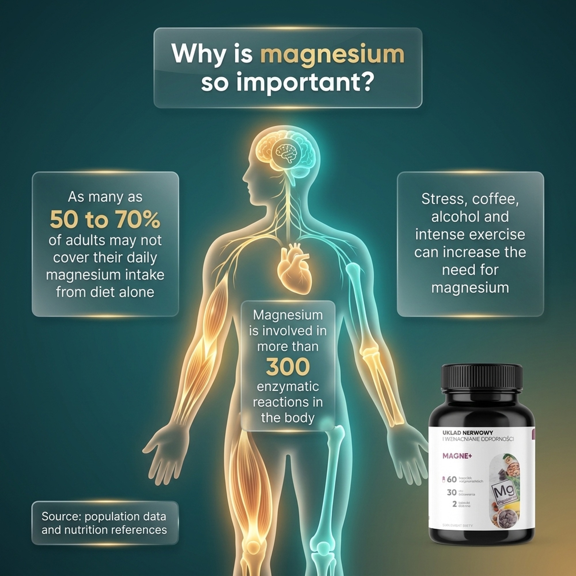 Magne+ - 3 Forms of Magnesium (Malate + Diglycinate + Carbonate) + Vitamin B6 + Zinc