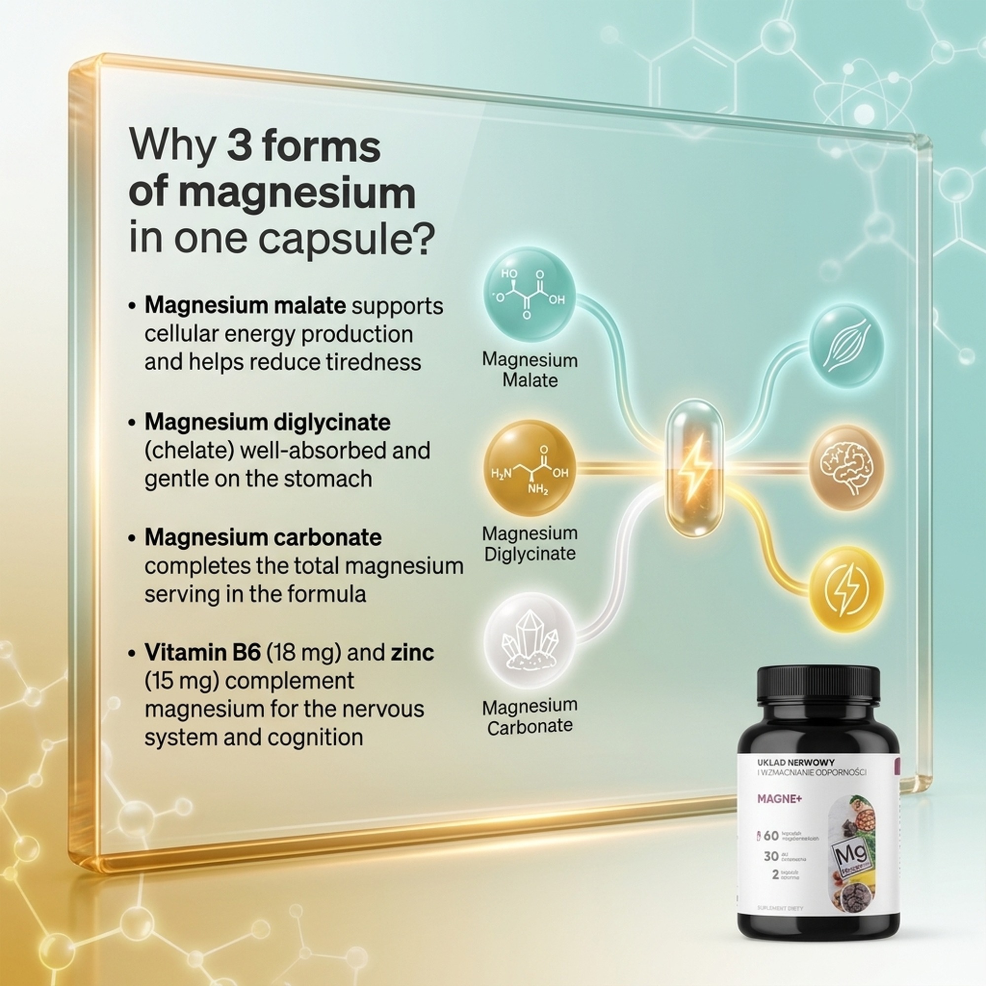 Magne+ - 3 Forms of Magnesium (Malate + Diglycinate + Carbonate) + Vitamin B6 + Zinc