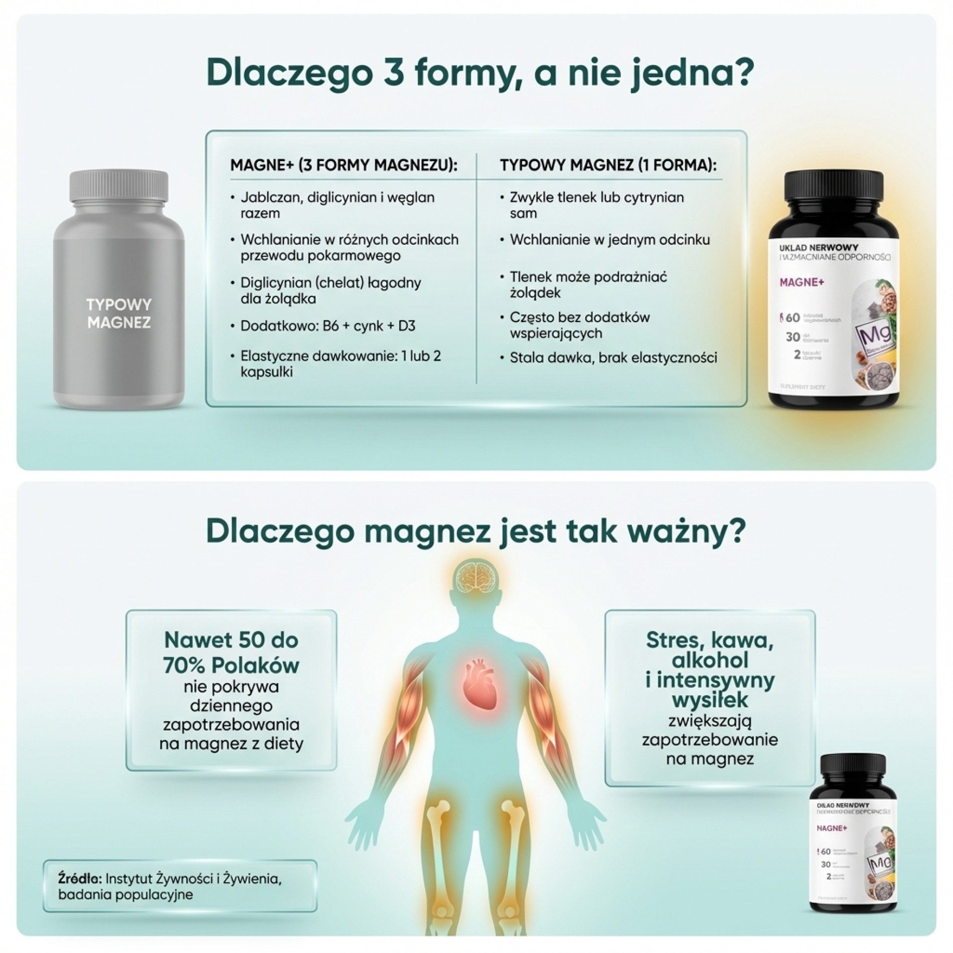 Magne+ - 3 Formy Magnezu (jabłczan + diglicynian + węglan) + Witamina B6 + Cynk
