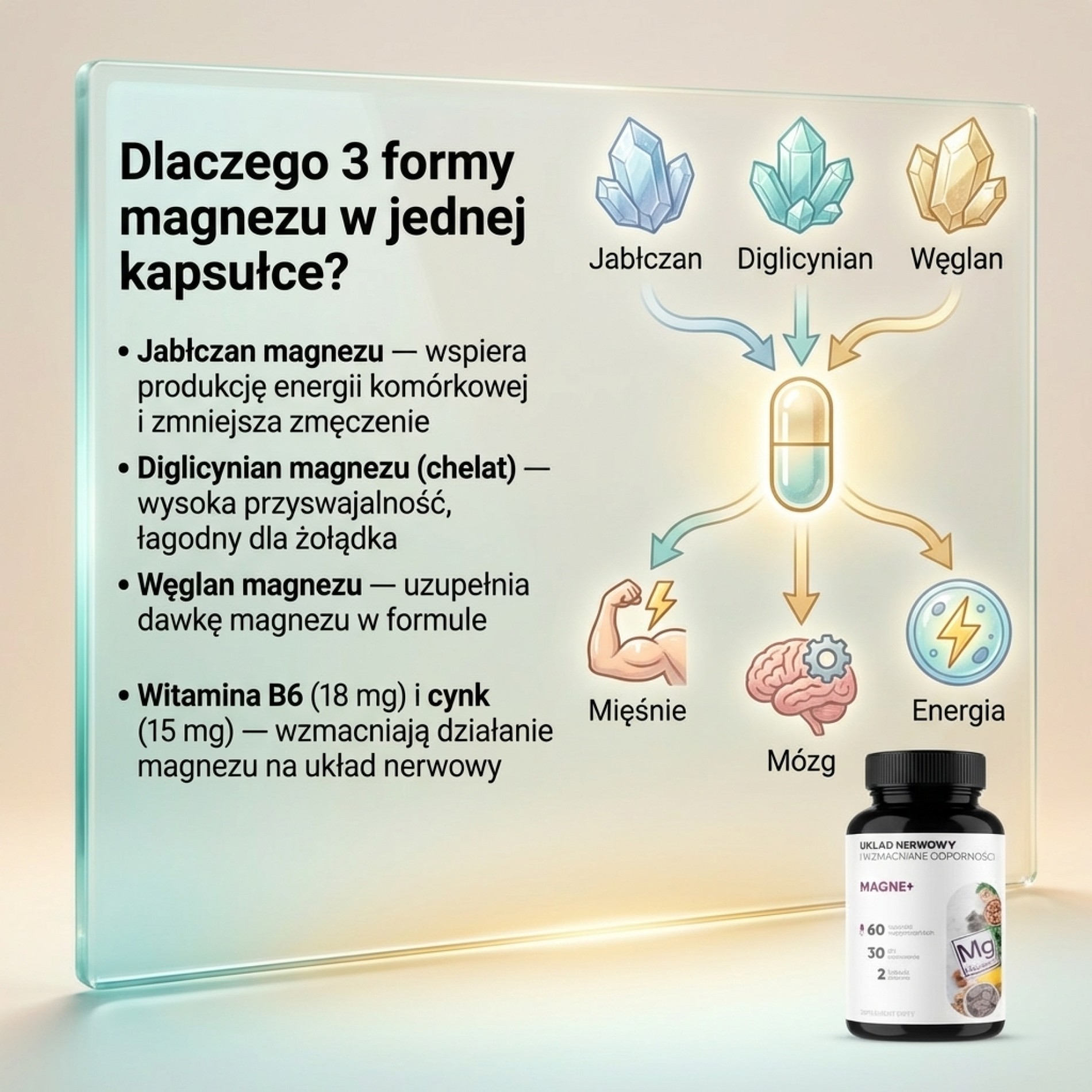 Magne+ - 3 Formy Magnezu (jabłczan + diglicynian + węglan) + Witamina B6 + Cynk