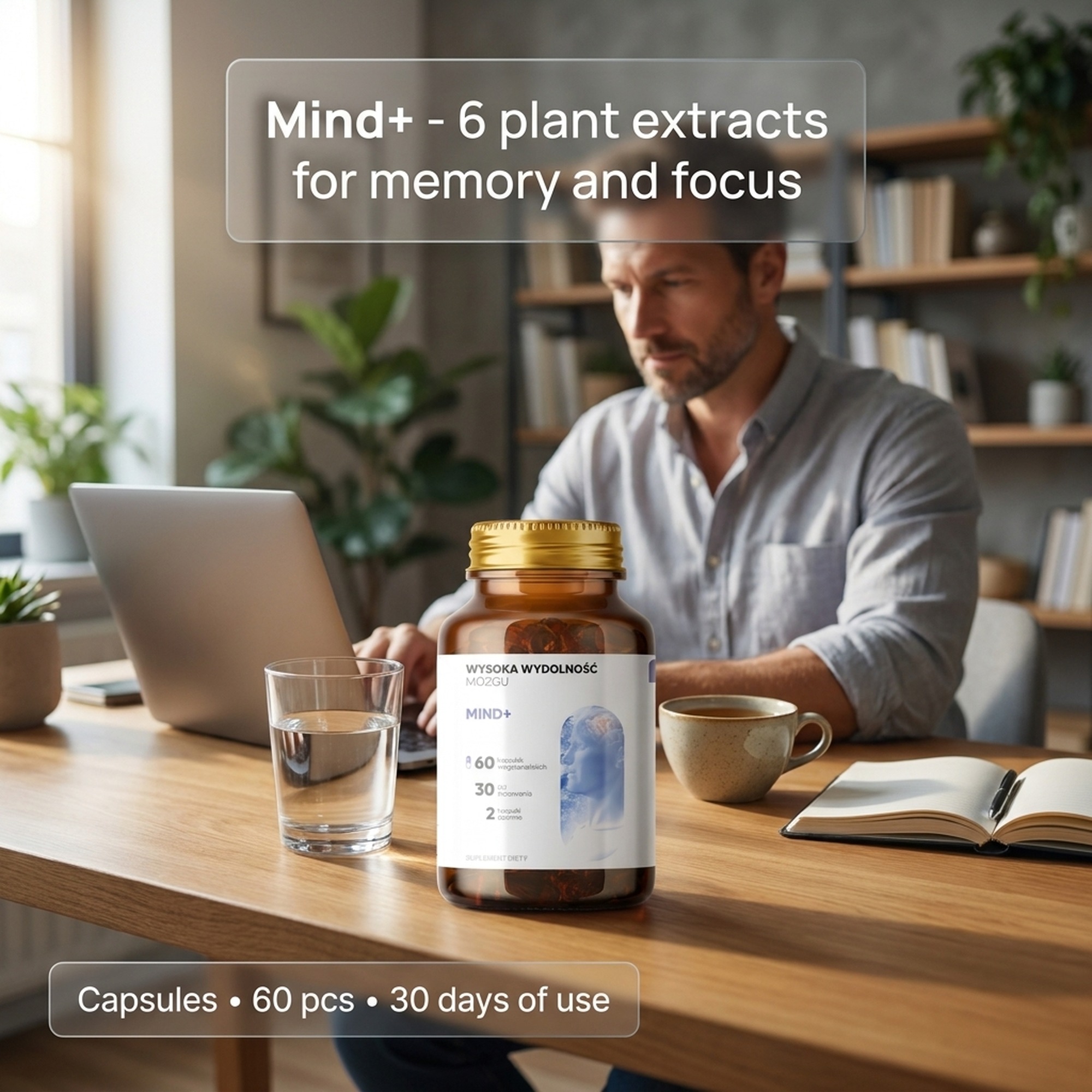 Mind+ - Holy Basil + Polygala + Ginkgo for Memory and Focus