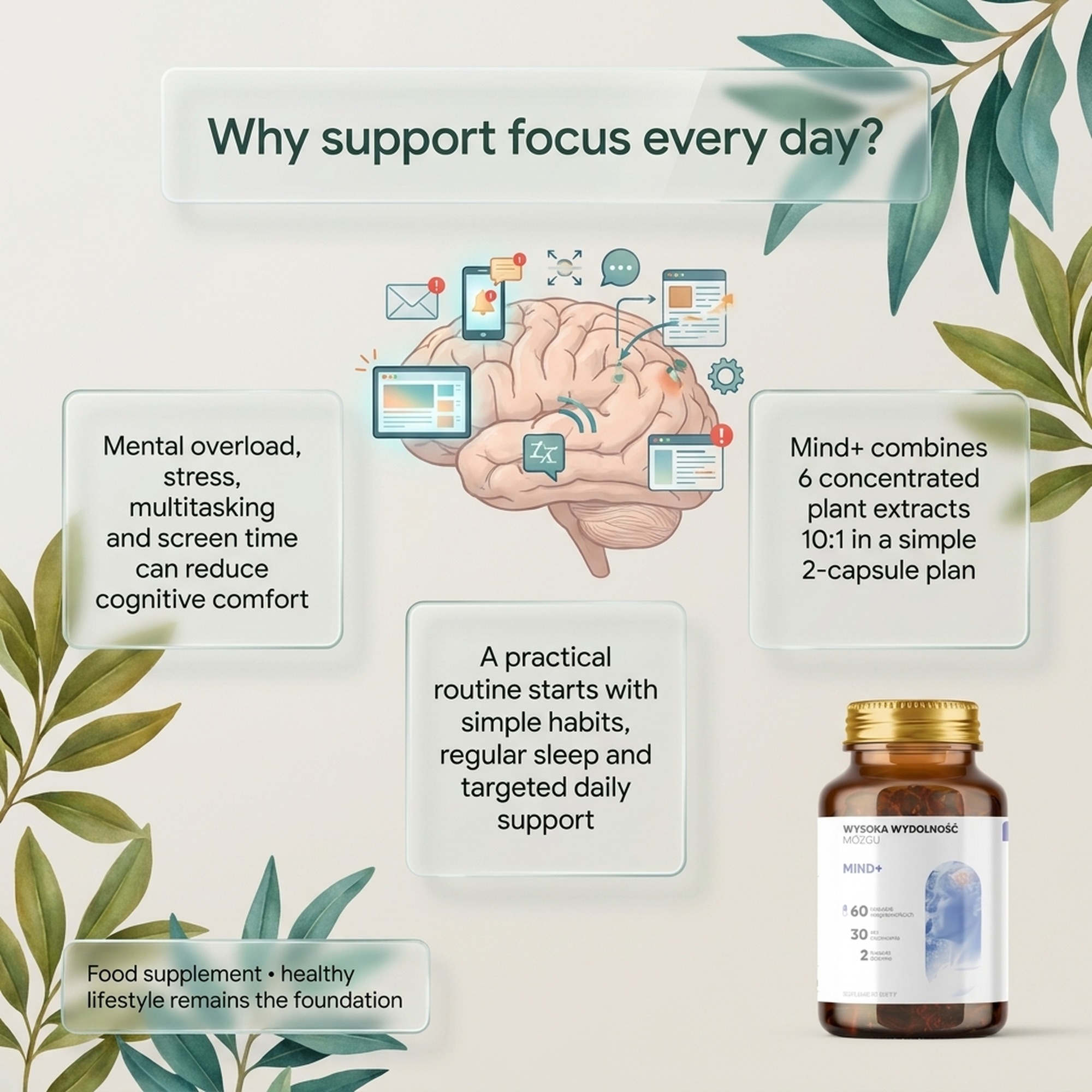Mind+ - Holy Basil + Polygala + Ginkgo for Memory and Focus