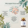 Mind+ - Holy Basil + Polygala + Ginkgo for Memory and Focus