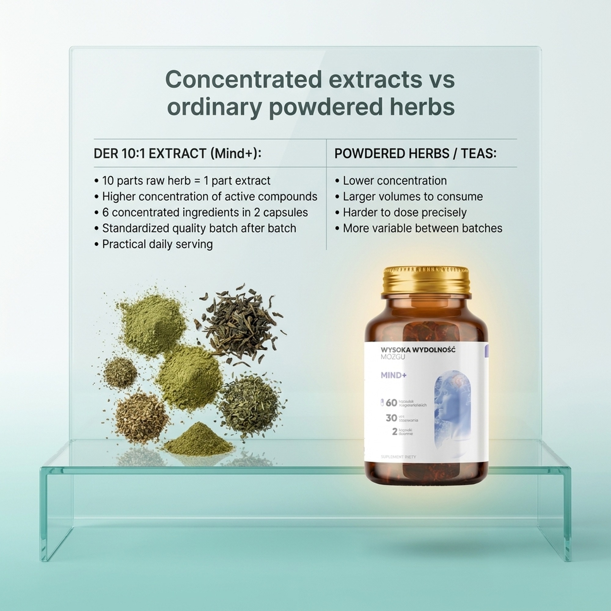 Mind+ - Holy Basil + Polygala + Ginkgo for Memory and Focus