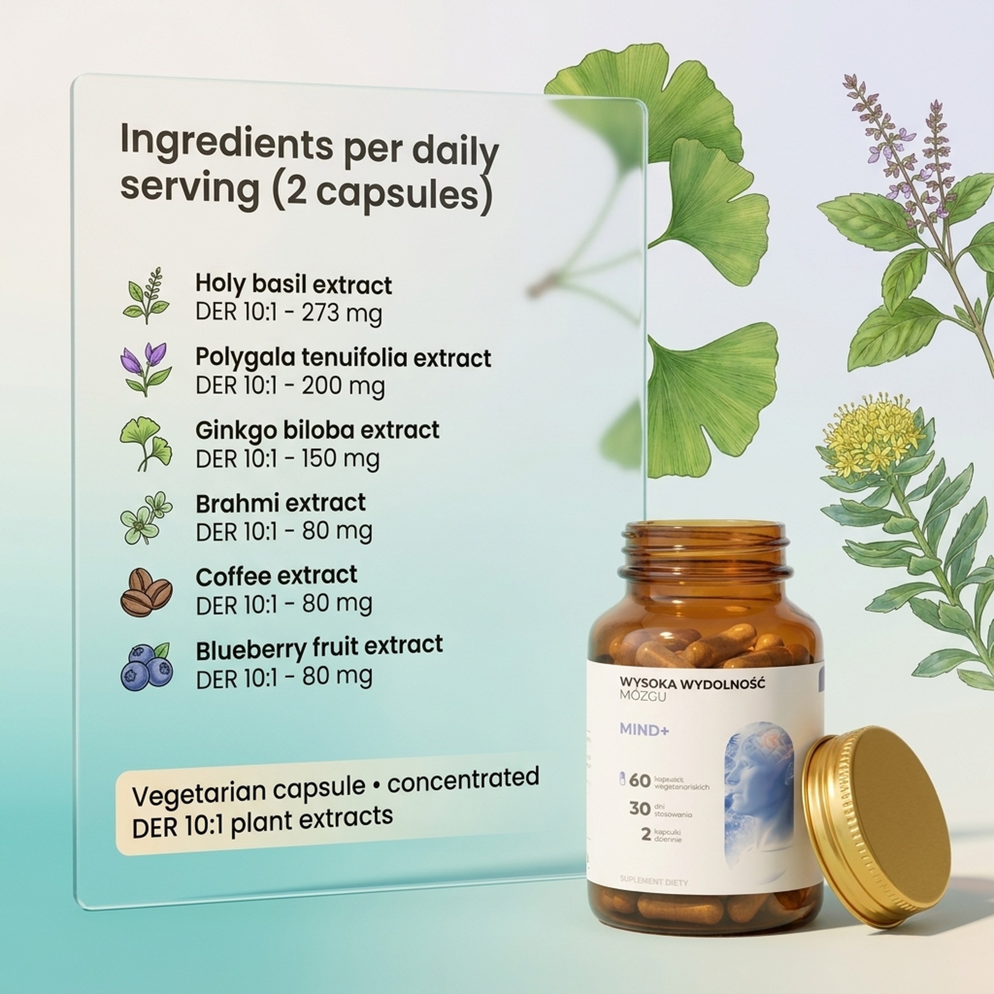 Mind+ - Holy Basil + Polygala + Ginkgo for Memory and Focus