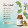 Mind+ - Holy Basil + Polygala + Ginkgo for Memory and Focus