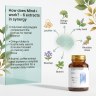 Mind+ - Holy Basil + Polygala + Ginkgo for Memory and Focus