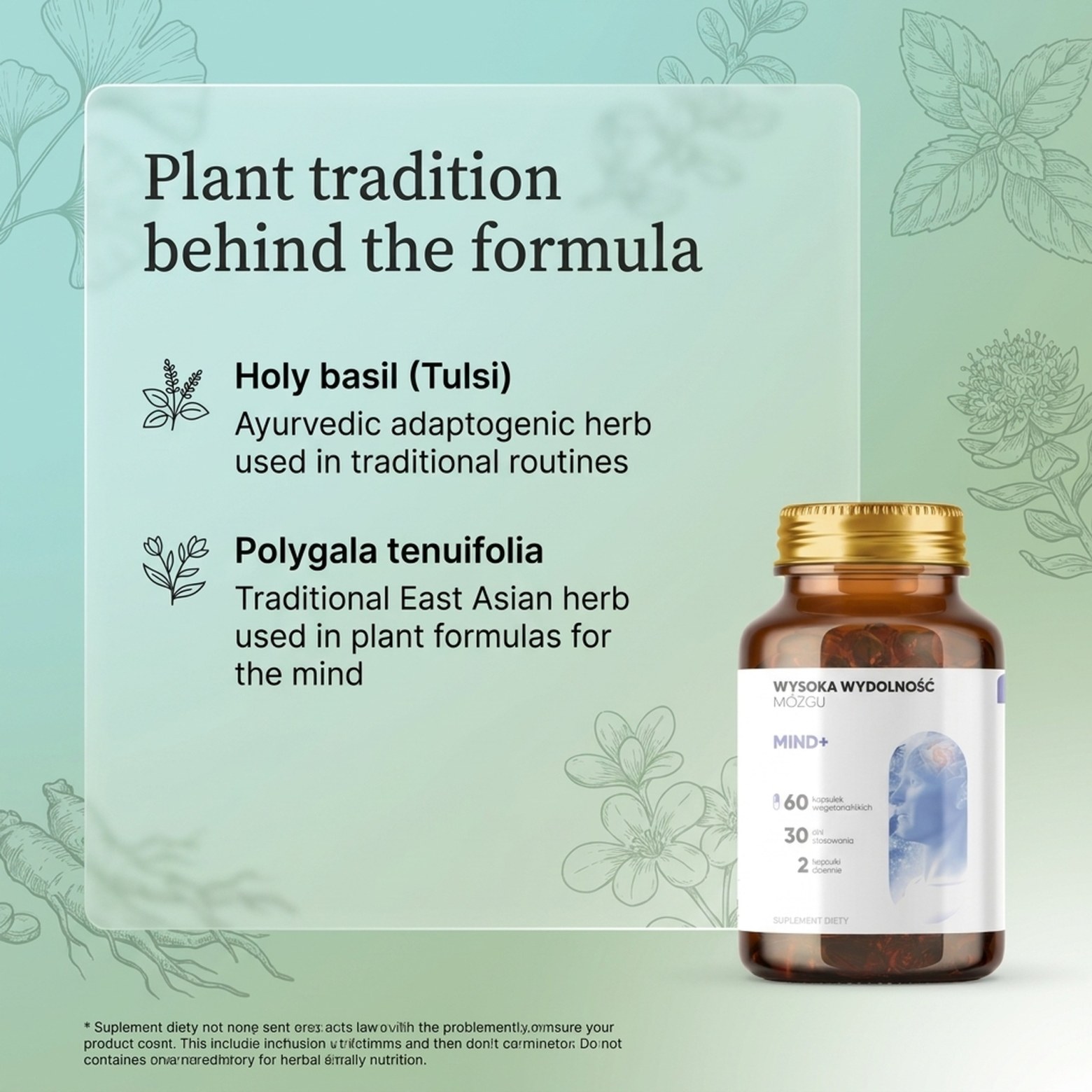 Mind+ - Holy Basil + Polygala + Ginkgo for Memory and Focus