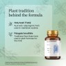 Mind+ - Holy Basil + Polygala + Ginkgo for Memory and Focus
