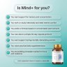 Mind+ - Holy Basil + Polygala + Ginkgo for Memory and Focus