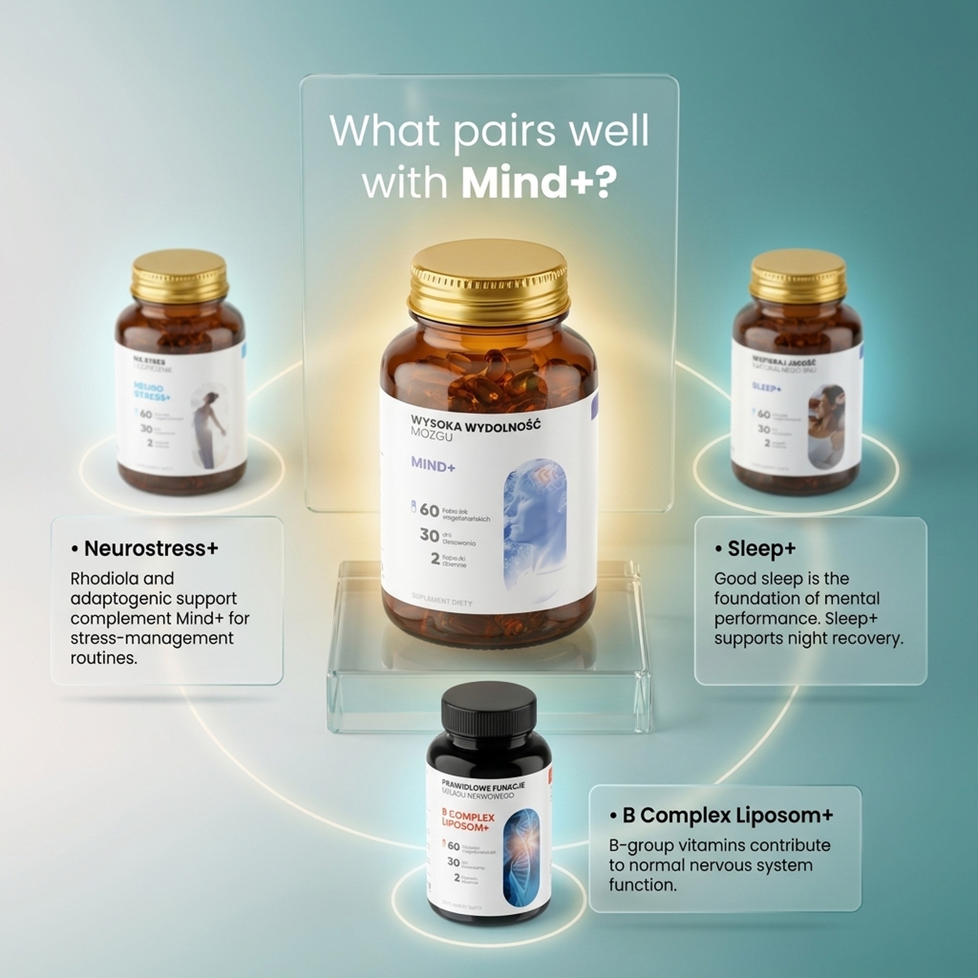 Mind+ - Holy Basil + Polygala + Ginkgo for Memory and Focus