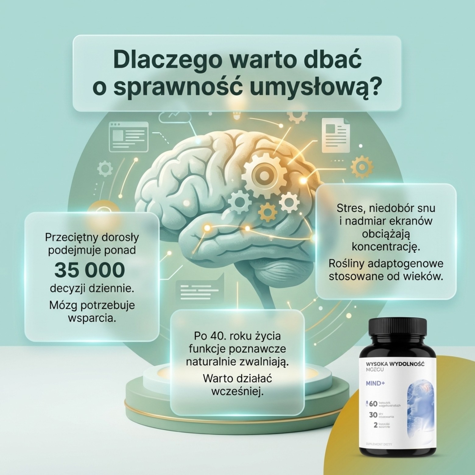 Mind+ - Bazylia święta + Krzyżownica + Miłorząb na pamięć i koncentrację