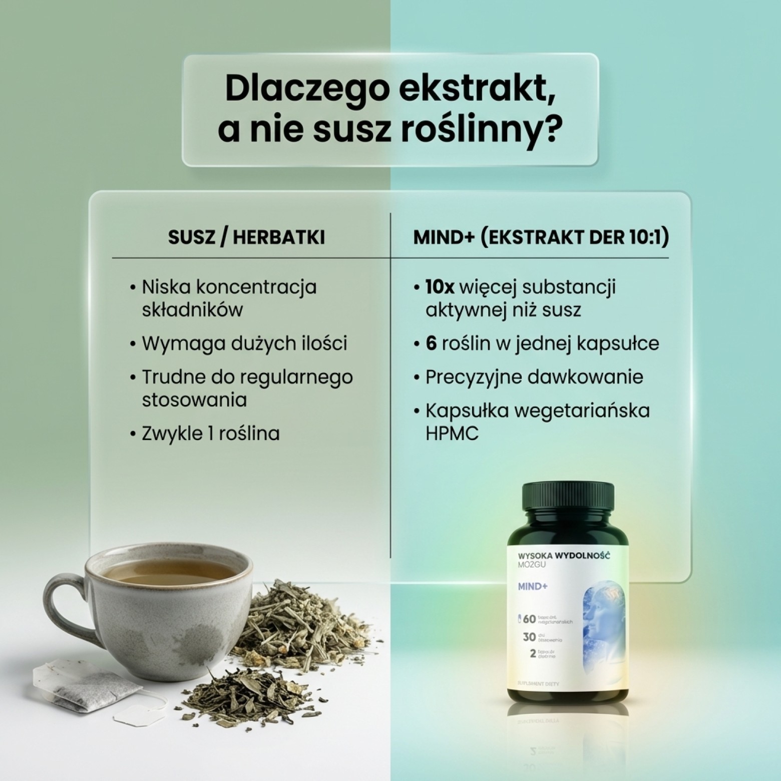Mind+ - Bazylia święta + Krzyżownica + Miłorząb na pamięć i koncentrację