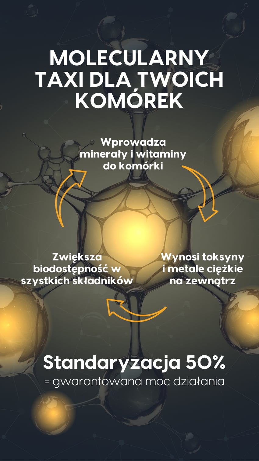 MUMIO+ - Shilajit 50% kwasów fulwowych - żelki na regenerację — story 3