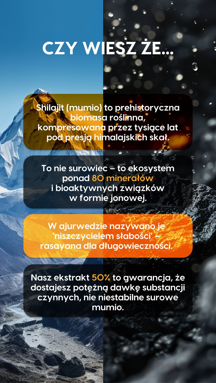 MUMIO+ - Shilajit 50% kwasów fulwowych - żelki na regenerację — story 4