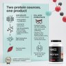 PROTEIN 750g Strawberry