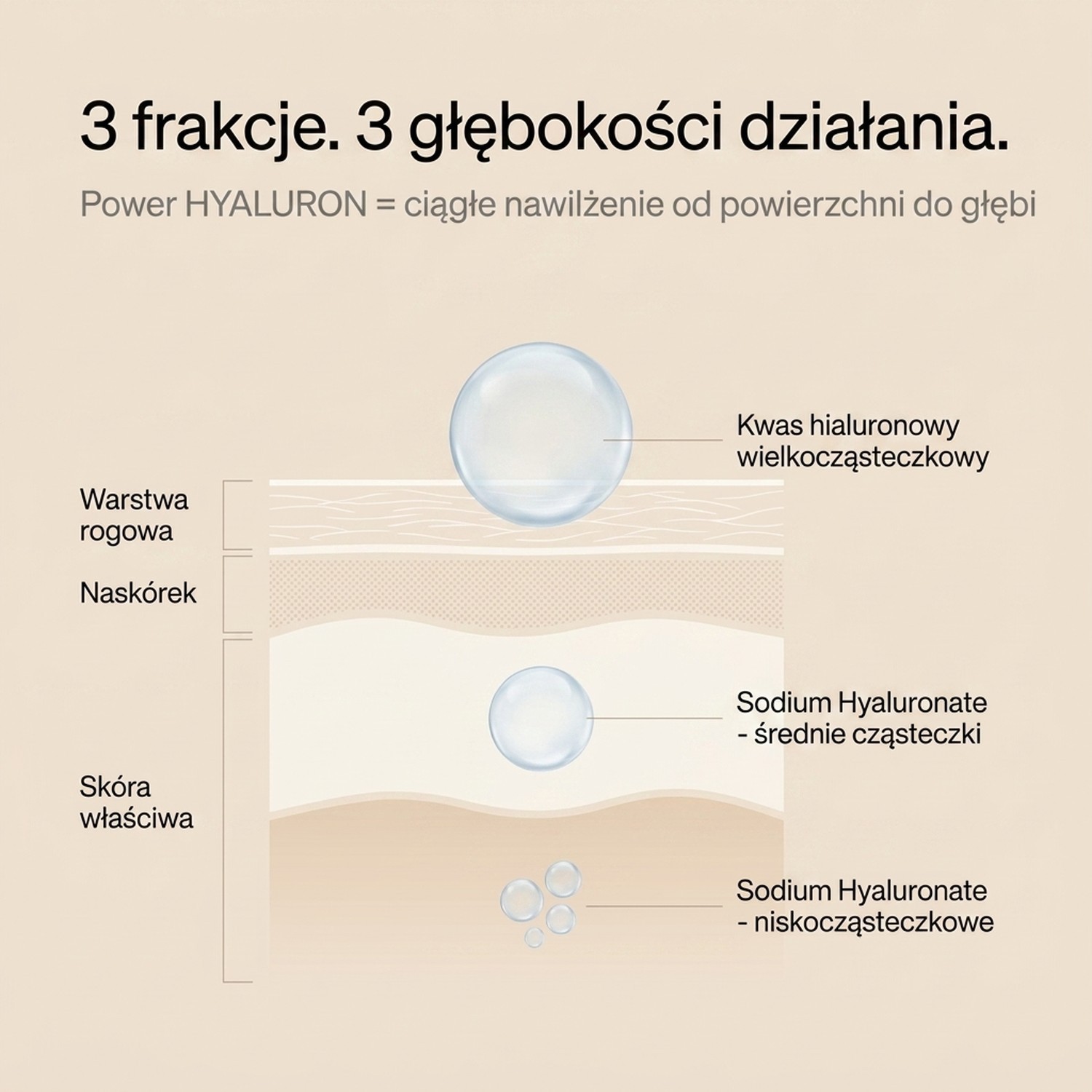 Power HYALURON - Serum with Hyaluronic Acid + Phospholipids + Vitamin E - Skin Mission