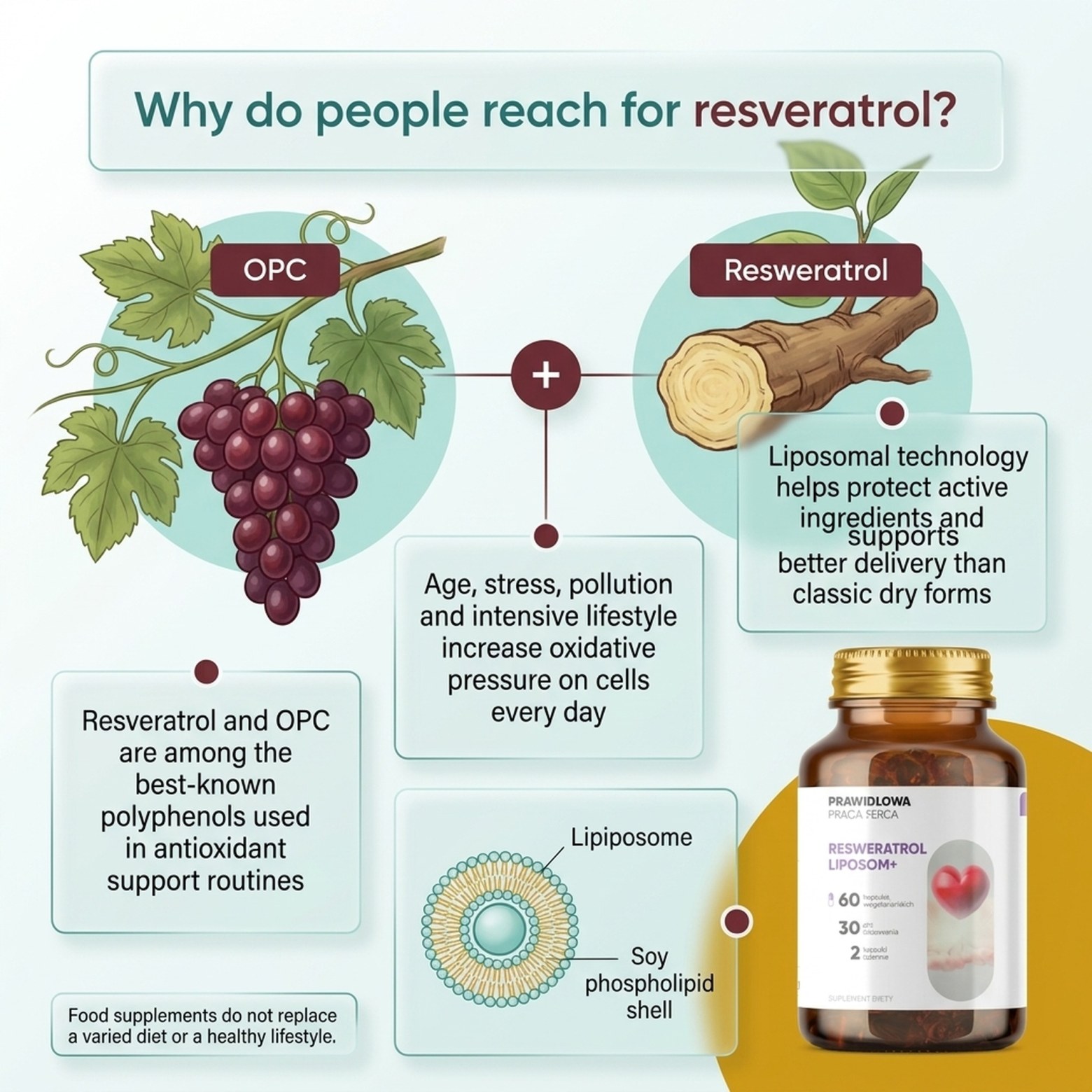 Resveratrol Liposom+ - Grape Vine 95% OPC in Liposomal Technology